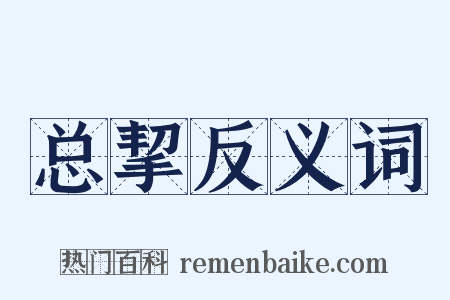 总挈反义词是什么意思的图片